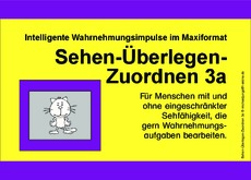 Sehen-Überlegen-Zuordnen 3a.pdf